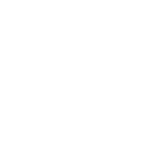 BlumeWeissLogo